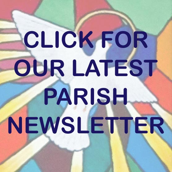 Link to Blessed John Henry Newman Parish Newsletter